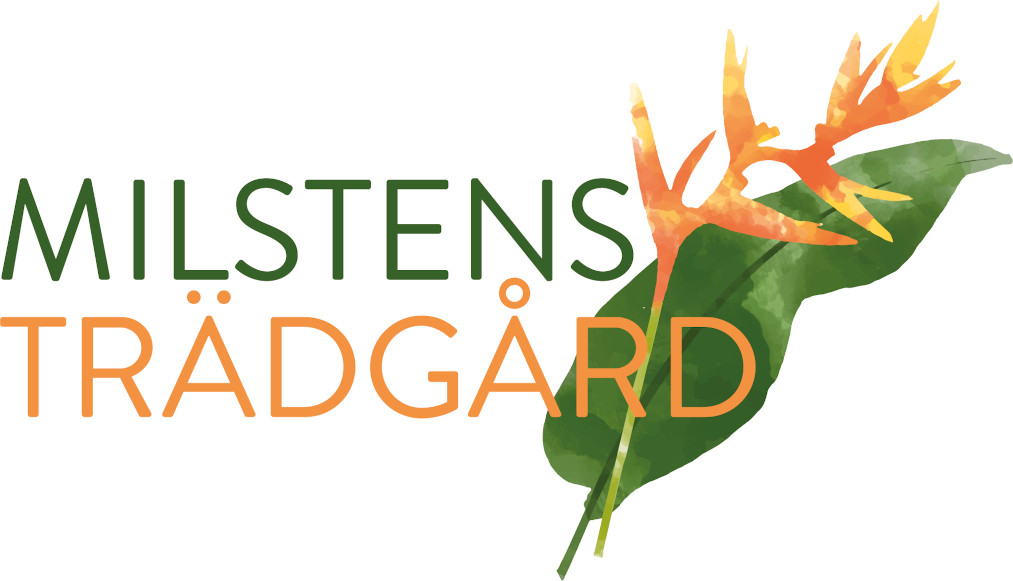 Milstens Trädgård